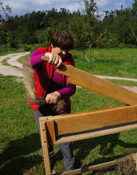 2014 European cultural heritage week – Traditional flax breaking